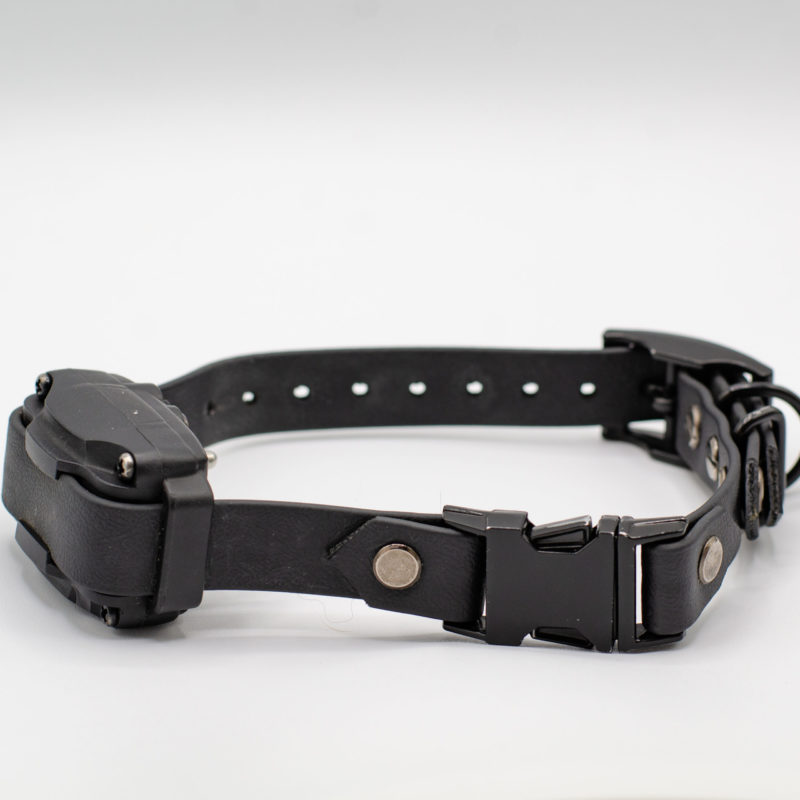 black quick release ecollar strap