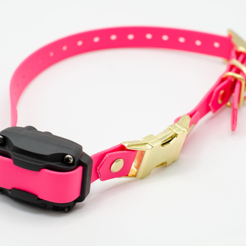 bubblegum pink biothane ecollar