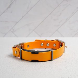 Quick Release Ecollar Compatible Collar -  (1" & 3/4" widths)