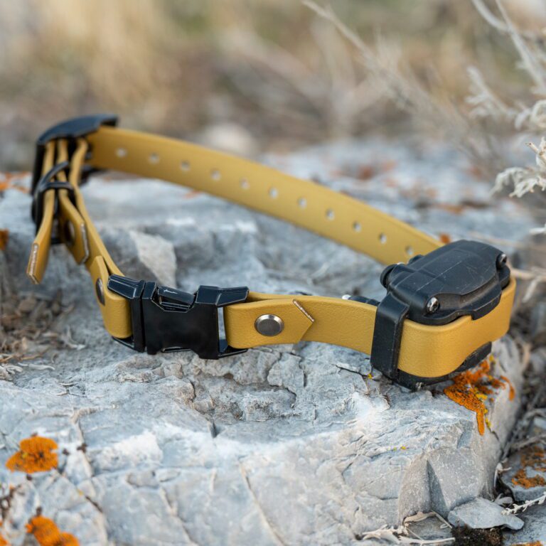 pop - productshots-outdoors-11-SQUARE MIN