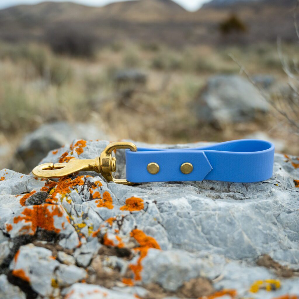 pop - productshots-outdoors-44