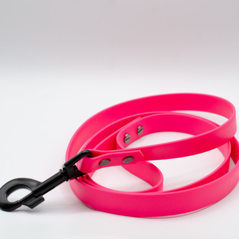 3/4" everyday leash in bubblegum