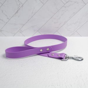 Everyday Leash (3-10 feet)