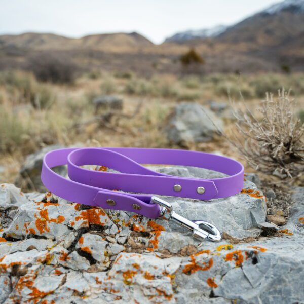Everyday Leash (3-10 feet)