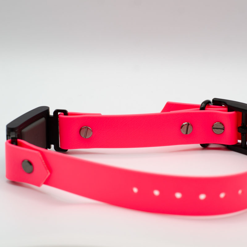 1" classic biothane collar in bubblegum