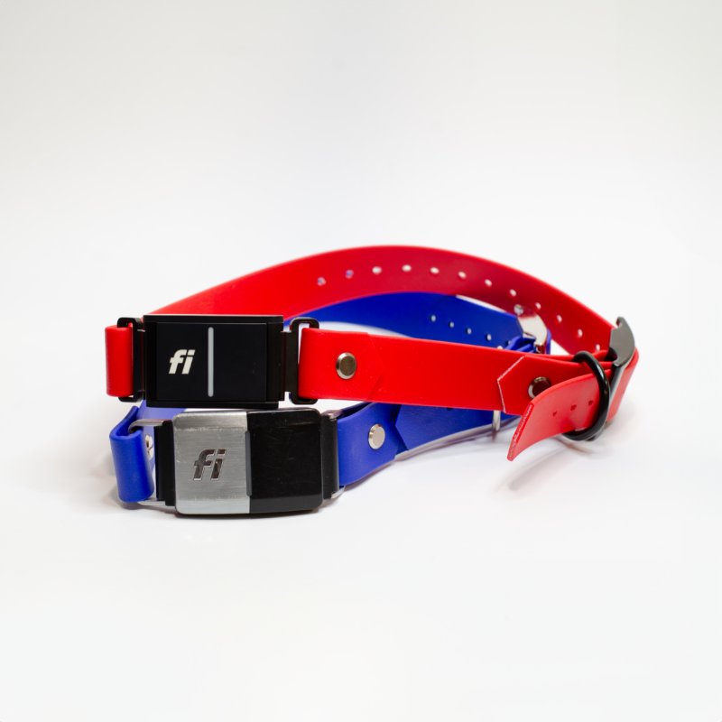 1" classic fi compatible collar for fi series 2 and 3