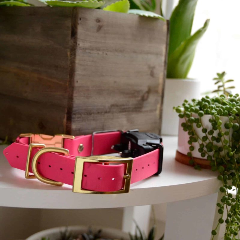 hot pink biothane ecollar with brass hardware