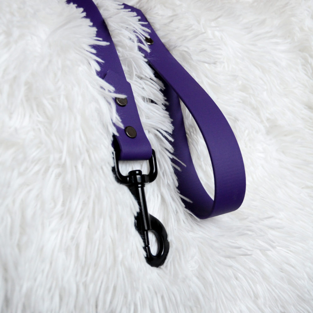 purple biothane leash with black hardware