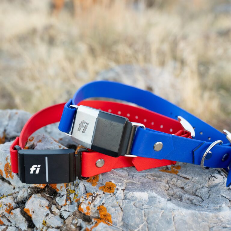 pop - productshots-outdoors-1 inch classic fi series 2and3-min-square