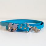 Hands Free Adjustable Leash