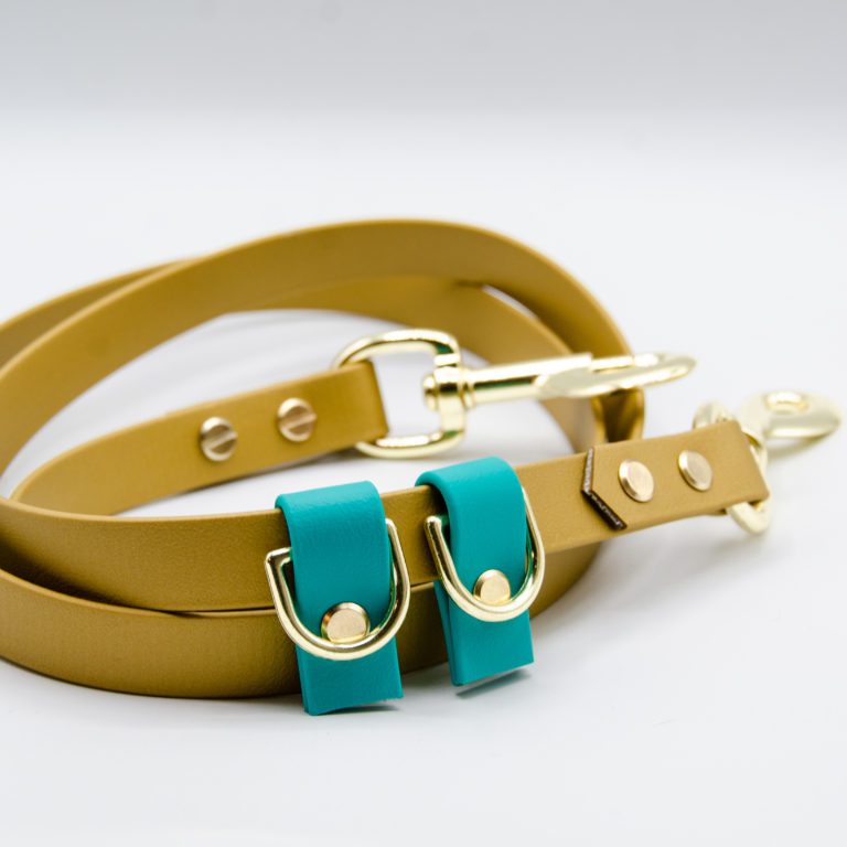 gold and teal hands free leash from pimped out pup