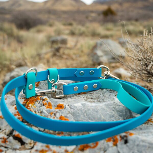 Hands Free Adjustable Leash