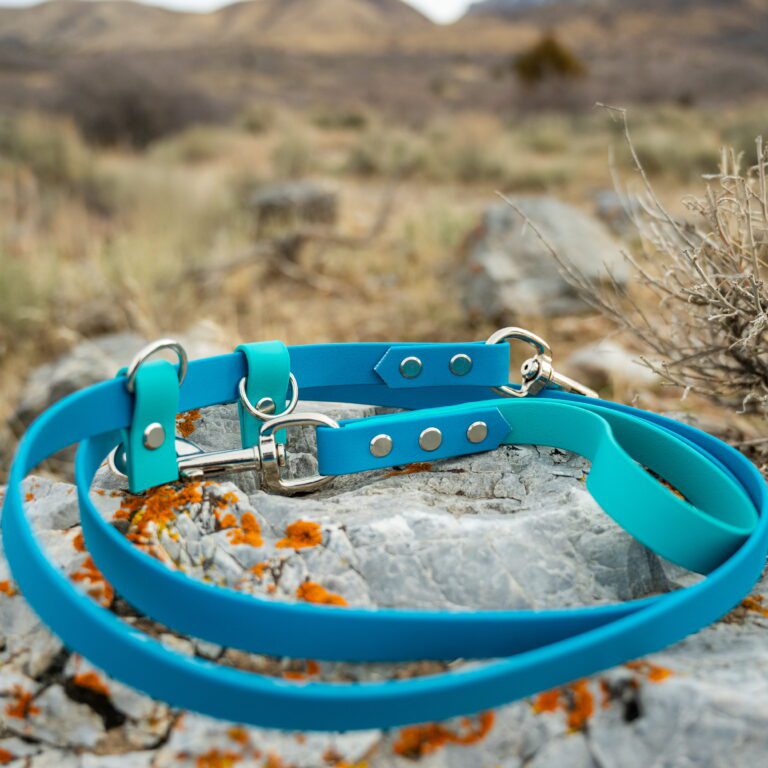 pop - productshots-outdoors-43