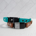 1 Inch Fi Compatible Collar (on the collar) - Series 1, 2, 3