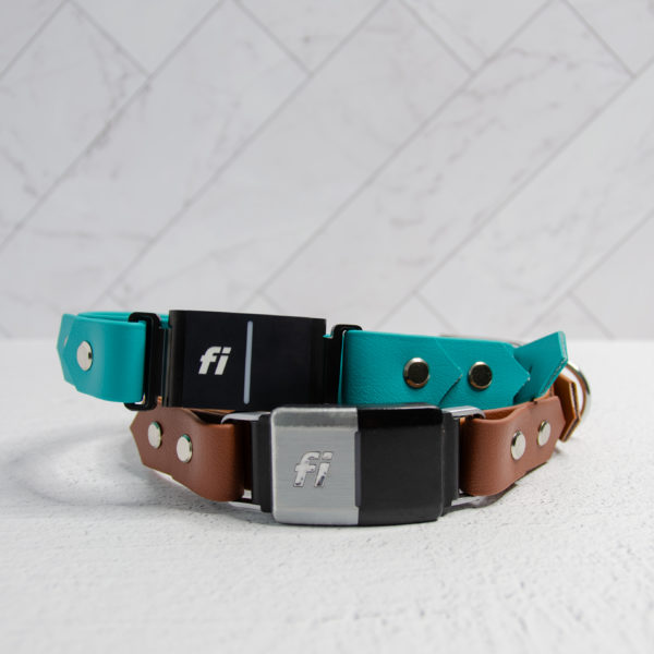 1 Inch Fi Compatible Collar (on the collar) - Series 1, 2, 3