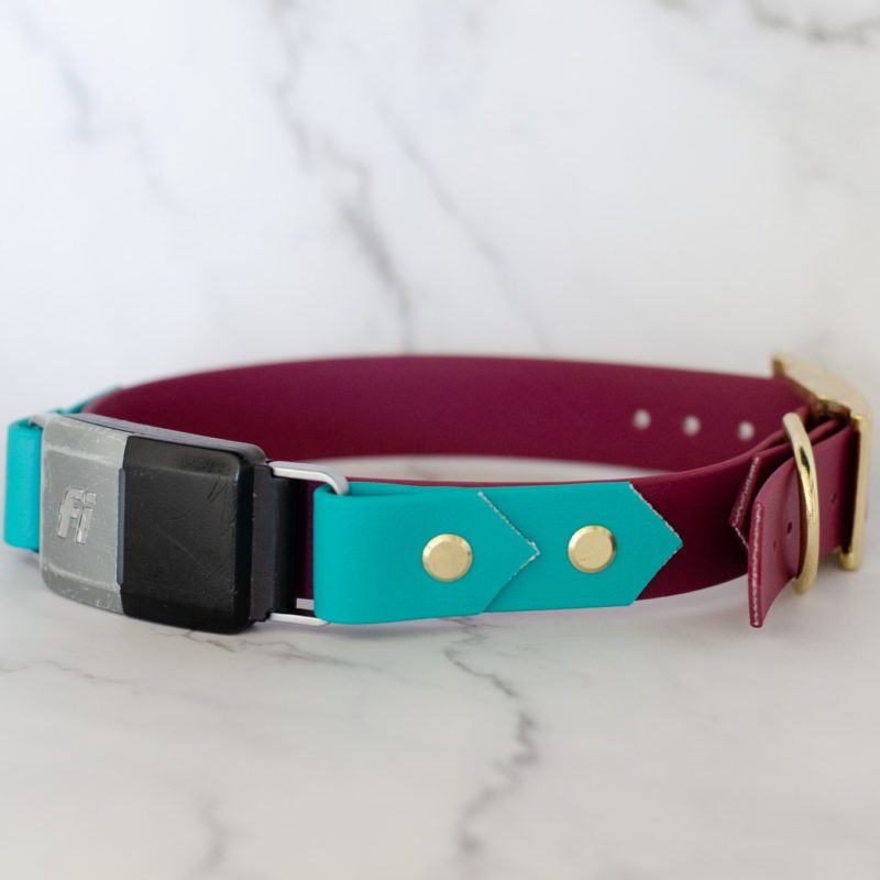 1" on the collar fi series 2 compatible biothane collar in wine and teal