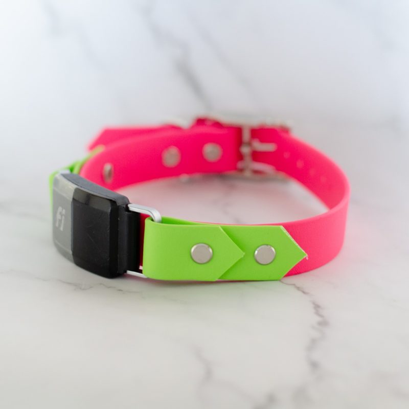 1" on the collar fi series 2 biothane collar in bubblegum and kelly green