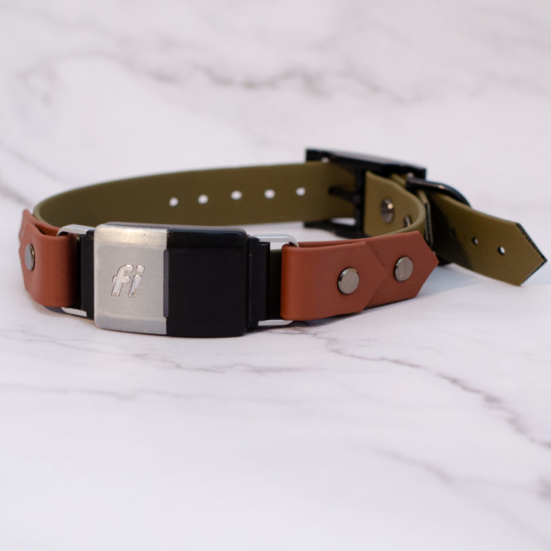1" on the collar fi series 2 biothane collar in OD green and tan