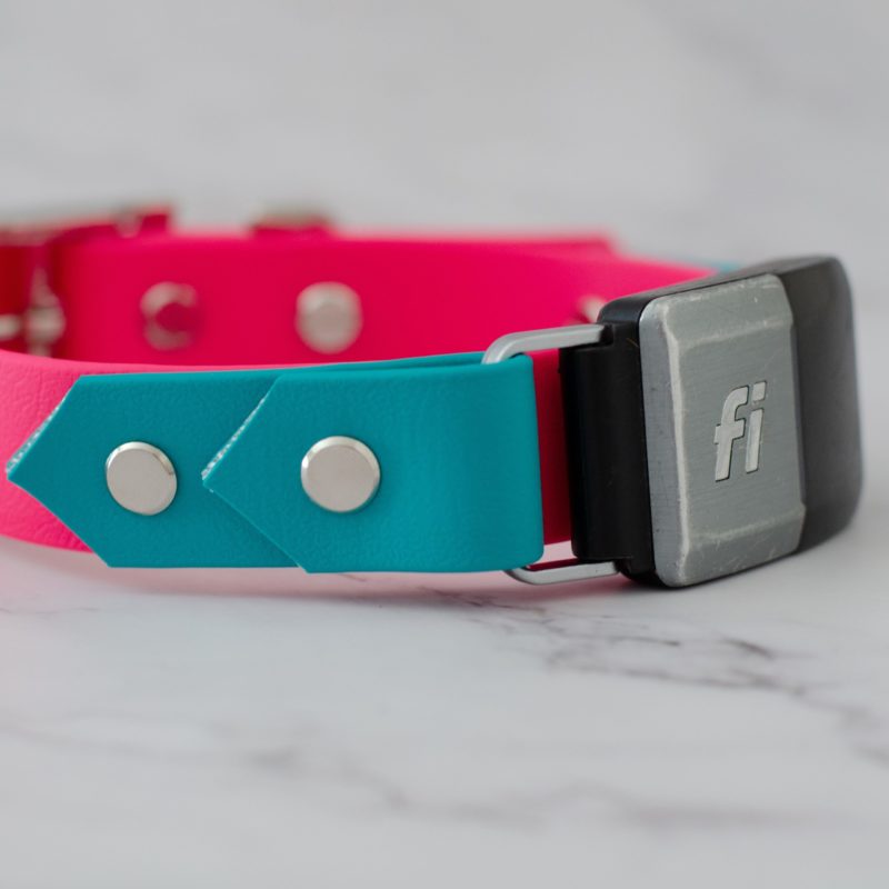 1" on the collar fi series 2 in bubblegum and teal