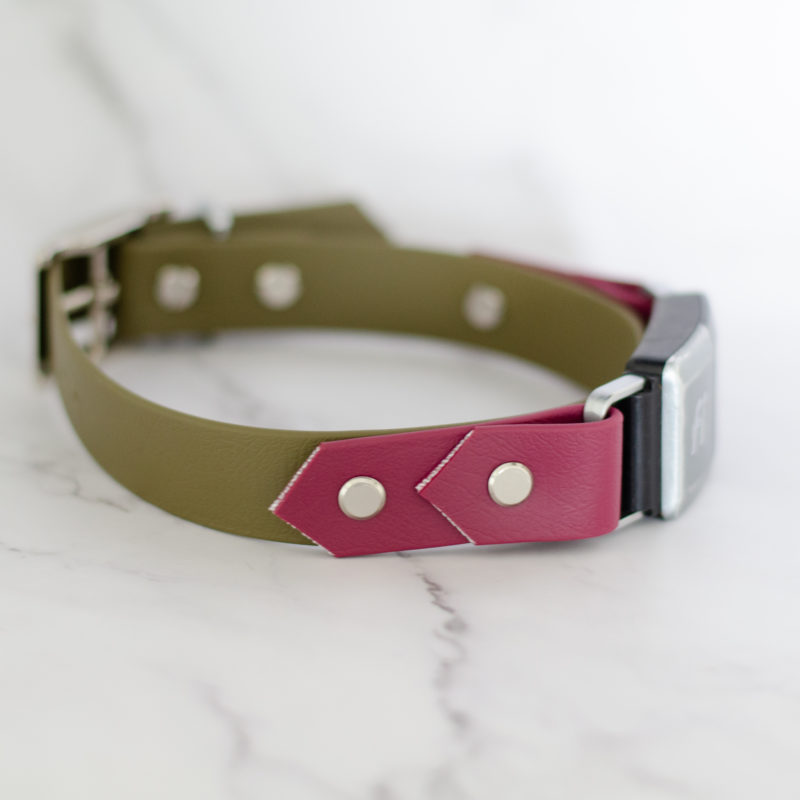 1" on the collar fi series 2 biothane collar in od green and wine