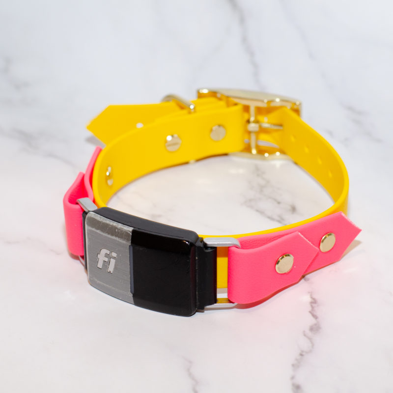 1" on the collar fi series 2 compatible collar in yellow and bubblegum