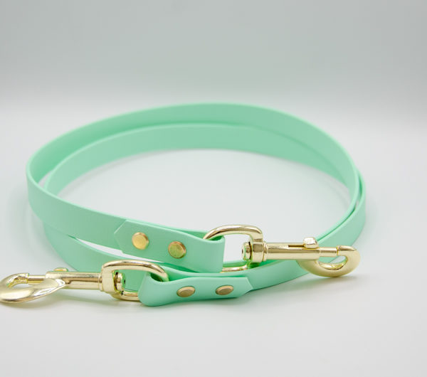 mint and brass biothane 2nd dog add on leash