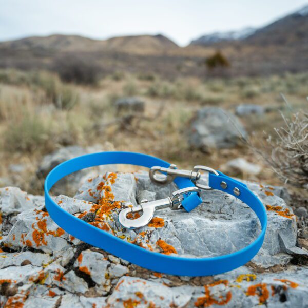 second dog add on to hands free adjustable leash - 3/4" biothane dog leash in ocean blue with silver hardware