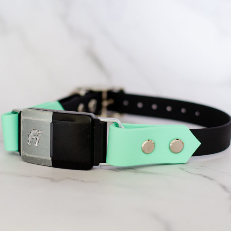 3/4" fi 2 compatible biothane collar in black and mint