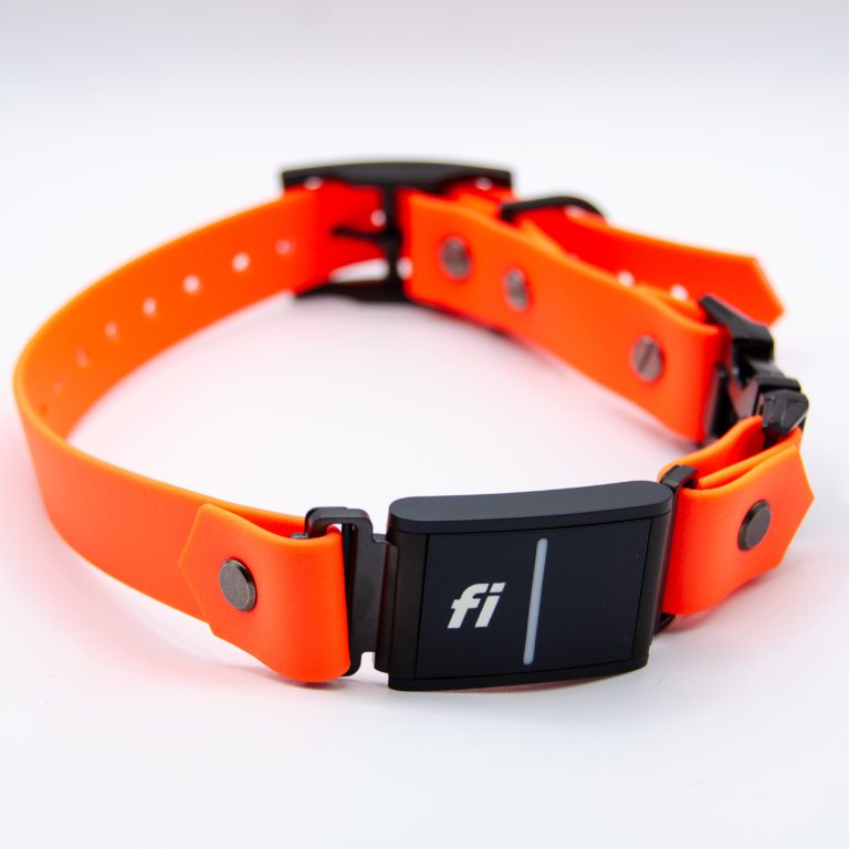 1" quick release series 3 collar in hunter orange biothane