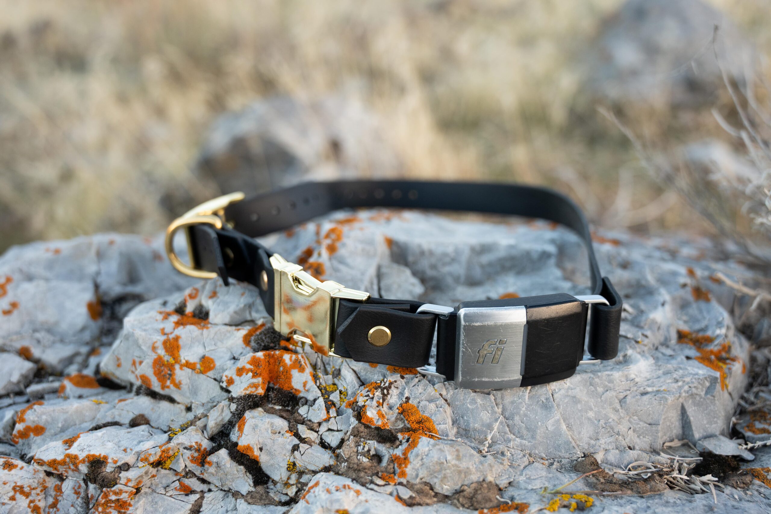 pop - productshots-outdoors-1 inch qr fi series 2-min