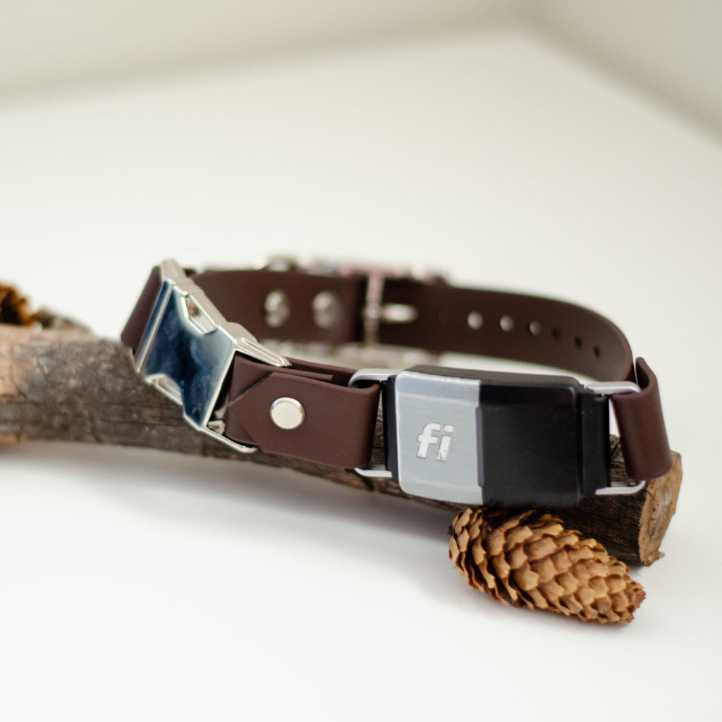 1" quick release fi compatible biothane collar in chocolate