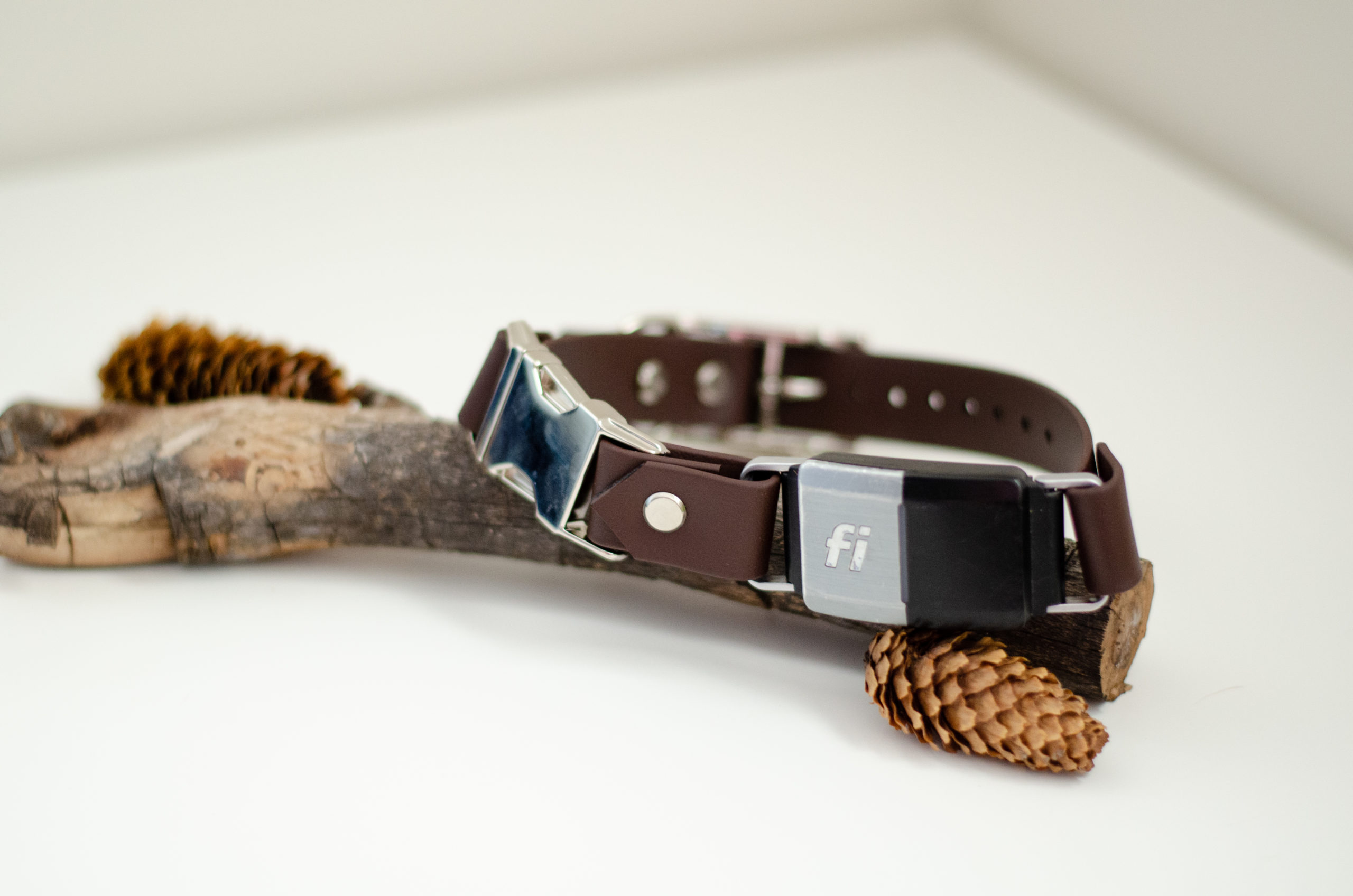 1" quick release fi compatible biothane collar in chocolate