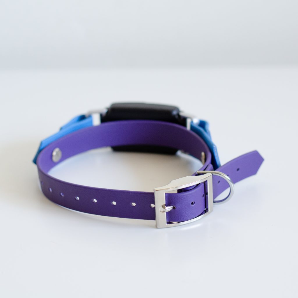 3/4" on the collar fi 2 compatible collar in purple and ocean