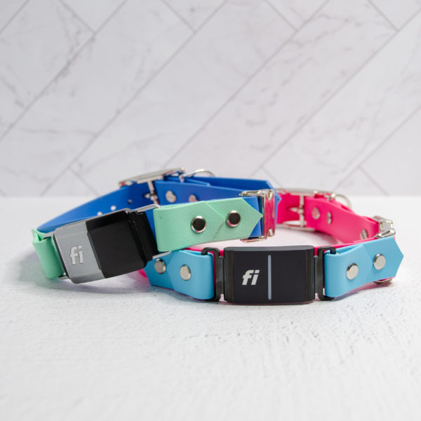 1 Inch Quick Release Fi Compatible Collar (on the collar) - Series 1, 2, 3