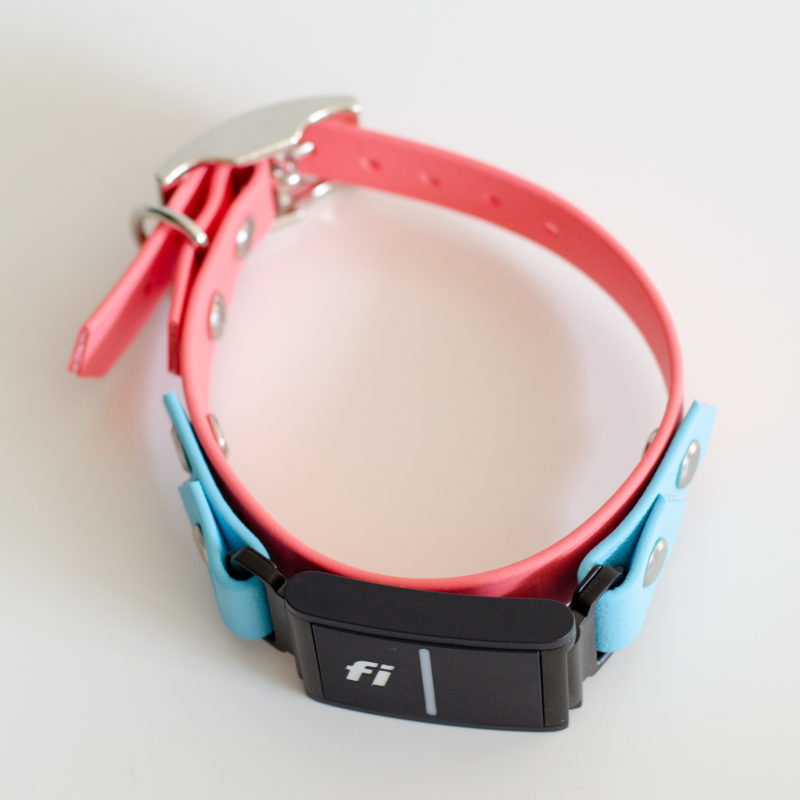3/4" on the collar fi 3 compatible collar in coral and sky blue