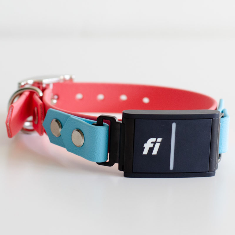 3/4" on the collar fi 3 compatible collar in coral and sky blue