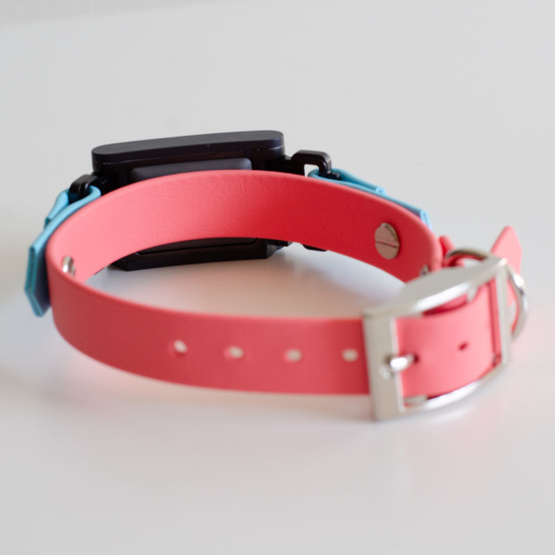 3/4" on the collar fi 3 compatible collar in coral and sky blue