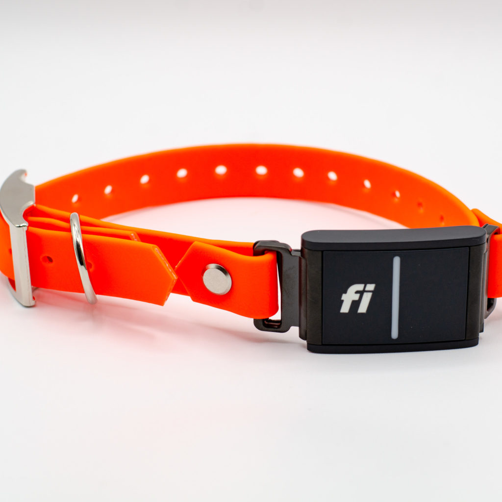 3/4" classic fi in hunter orange biothane