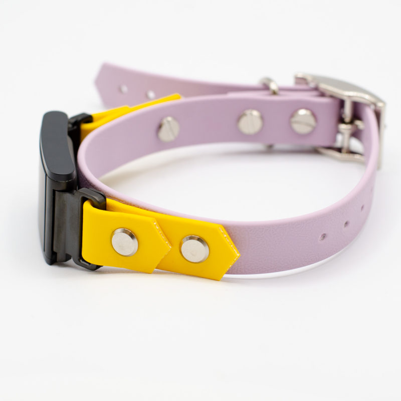 3/4" fi 3 compatible collar - on the collar style in lavender and yellow