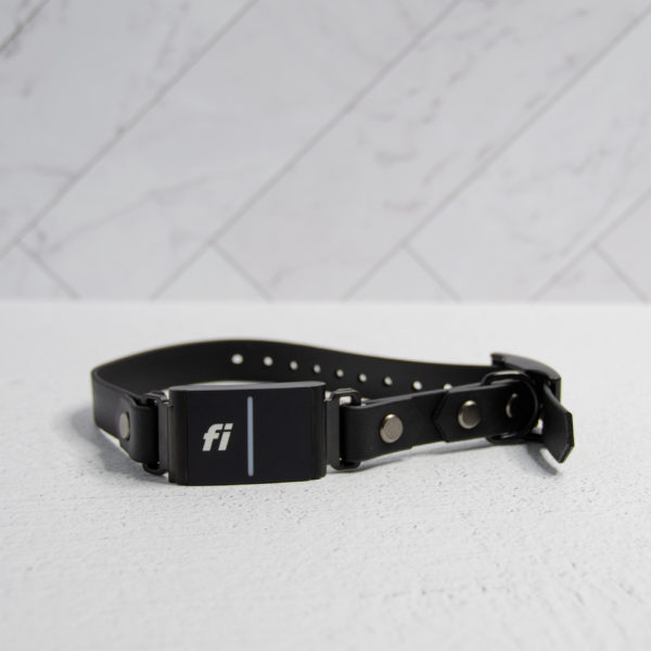 3/4 Inch Classic Fi Compatible Collar - Series 3 & 3+