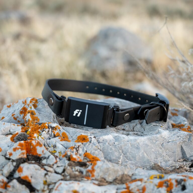 pop - productshots-outdoors-34 inch classic fi series 3-min-square