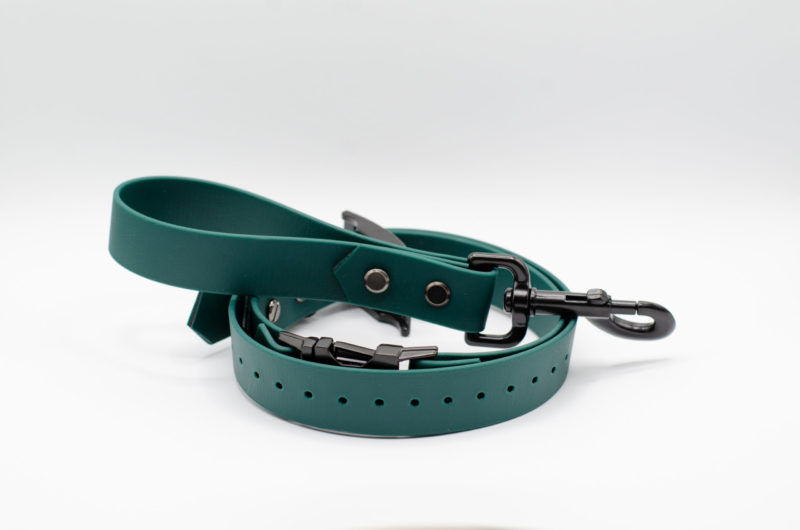 forest green traffic lead and ecollar compatible collar