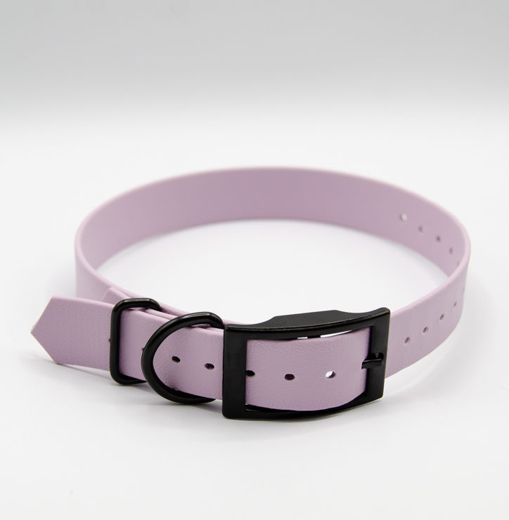 1" everyday biothane leash in lavender and black