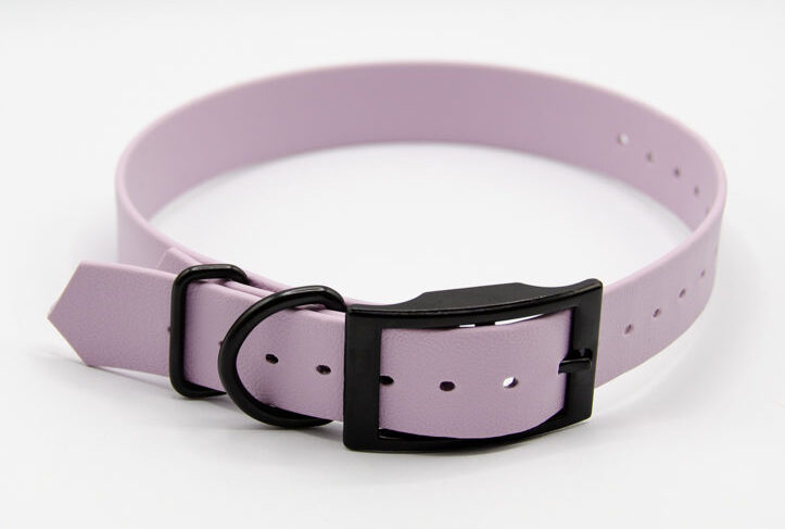 1" everyday biothane leash in lavender and black