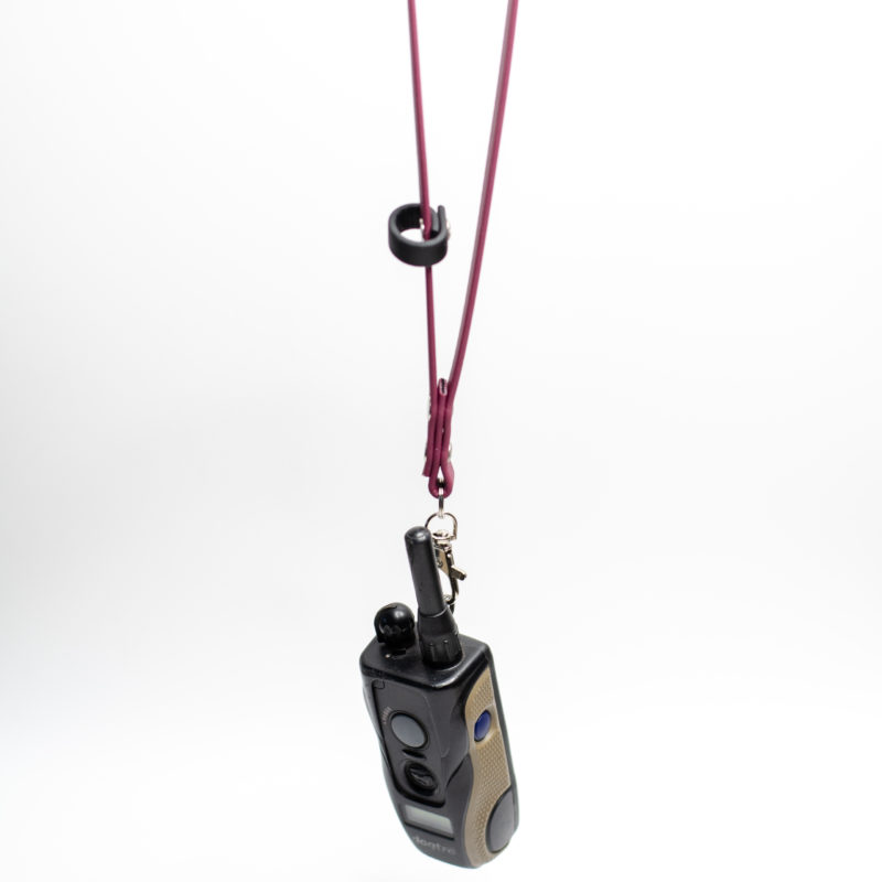 biothane ecollar remote strap