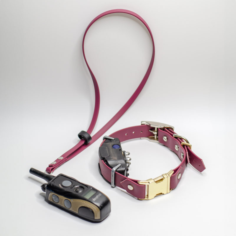 Biothane ecollar with matching remote strap