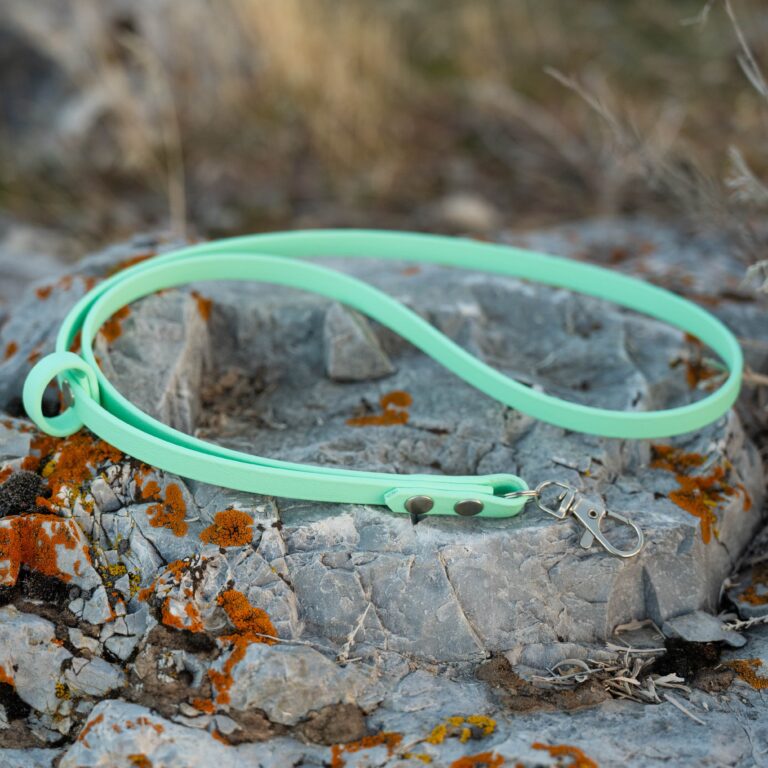 pop - productshots-outdoors-ecollar lanyard-min-square