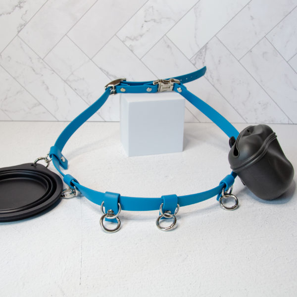 Training Belt