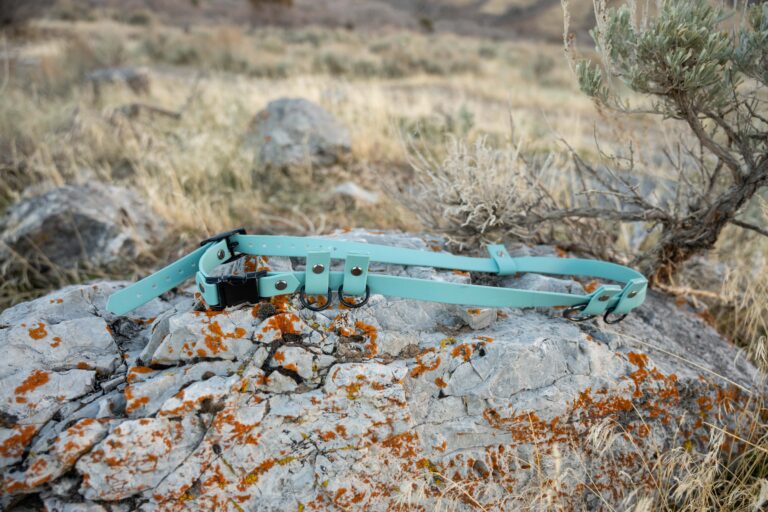 pop - productshots-outdoors-1-training belt