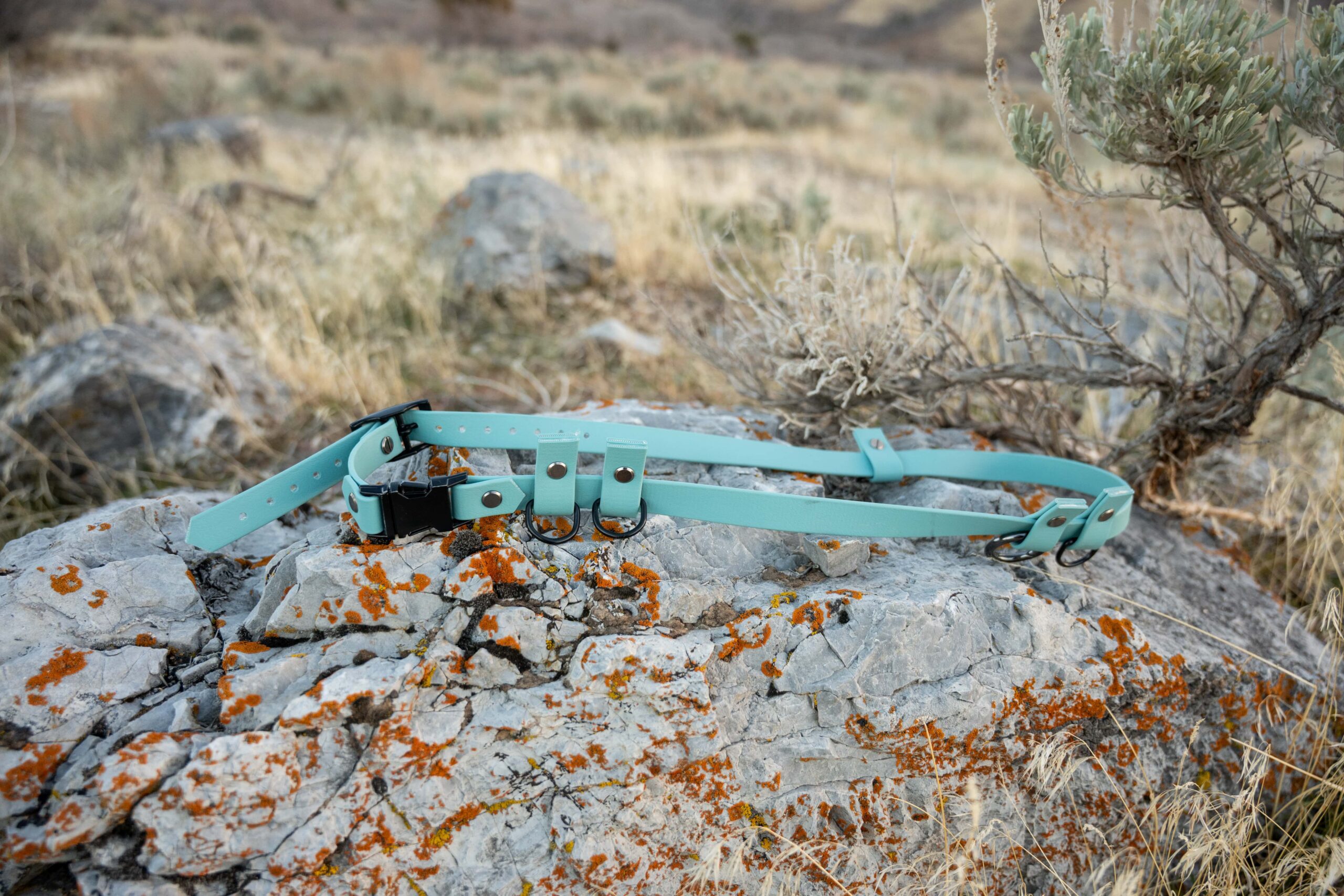 pop - productshots-outdoors-1-training belt